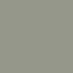 Paint swatch of sherwin williams evergreen fog